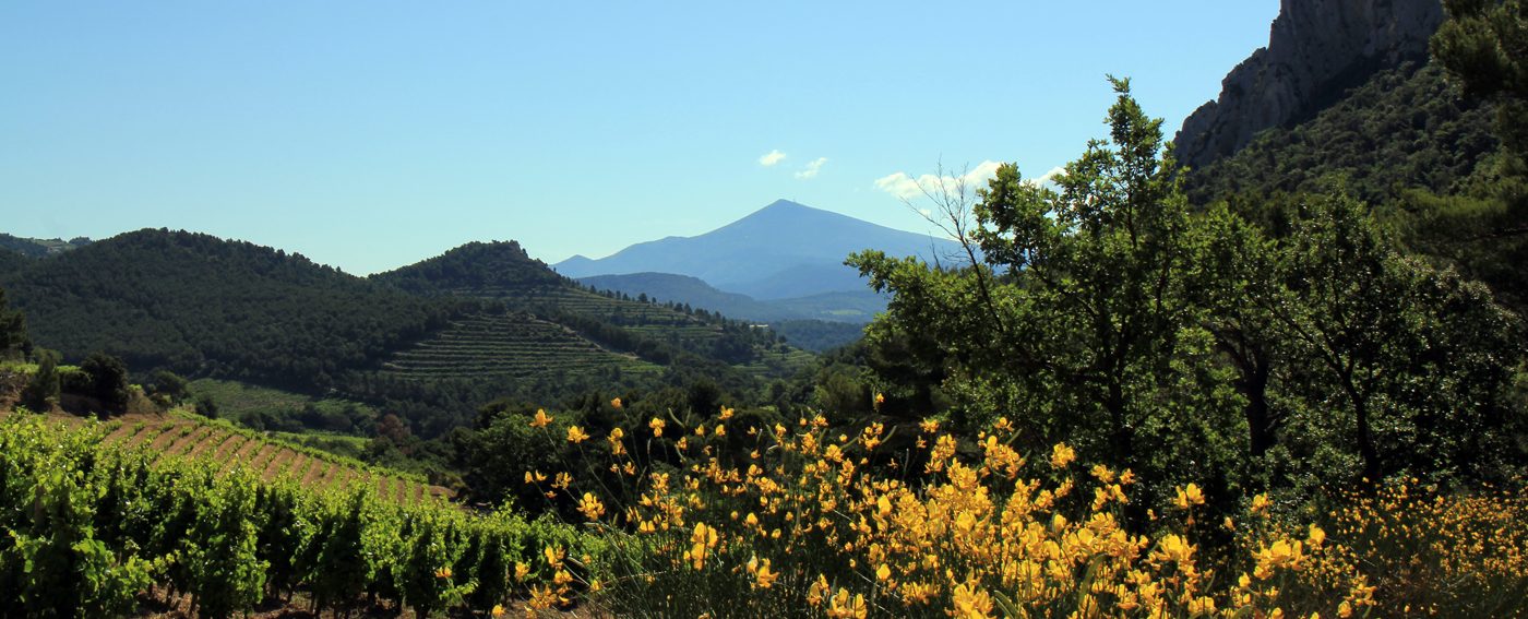 Mont Ventoux, the ever present