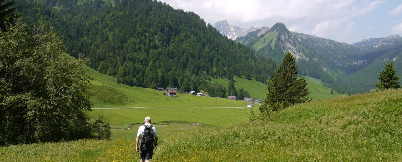 Scenes from the Sound of Music