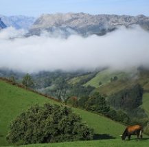 Basque Country